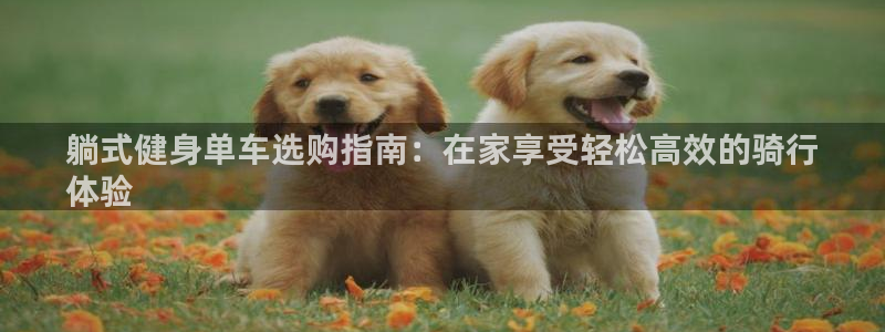 意昂3娱乐网站：躺式健身单车选购指南：在家享受轻松高