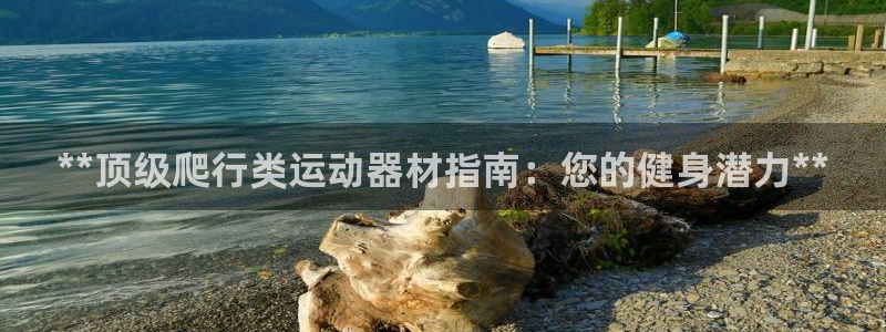 德国意昂3集团：**顶级爬行类运动器材指南：您的健身