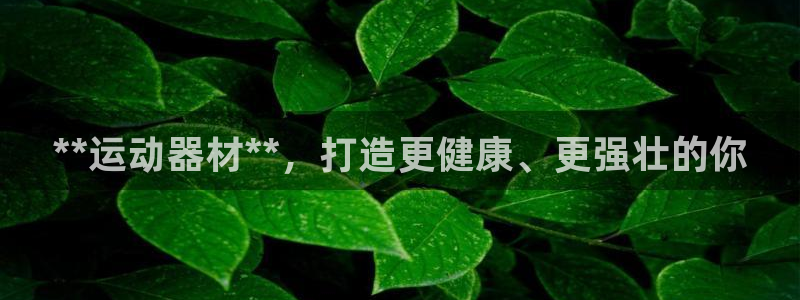 意昂3娱乐首页网站大全：**运动器材**，打造更健康