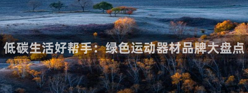 意昂3娱乐下载：低碳生活好帮手：绿色运动器材品牌大盘