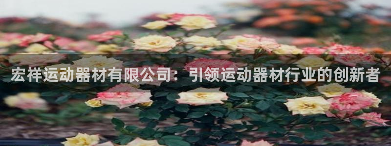 意昂体育3平台是正规平台吗：宏祥运动器材有限公司：引