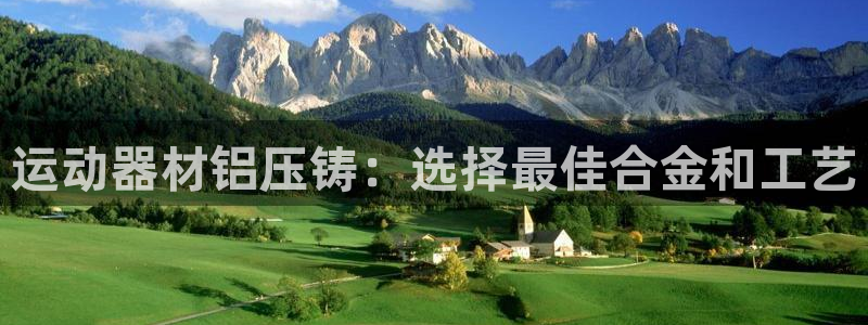 意昂3集团E.ON：运动器材铝压铸：选择最佳合金和工