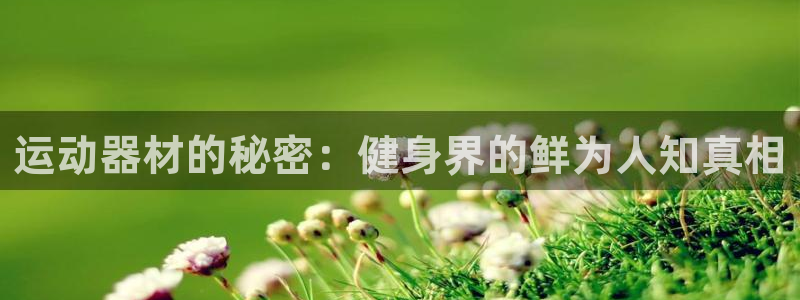 意昂体育3平台假的吗是真的吗：运动器材的秘密：健身界