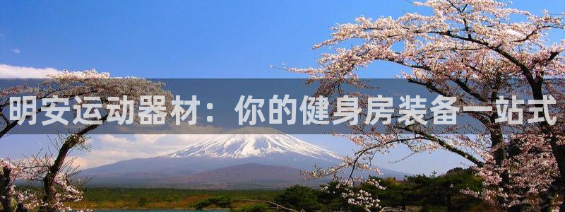 意昂3娱乐下载：明安运动器材：你的健身房装备一站式