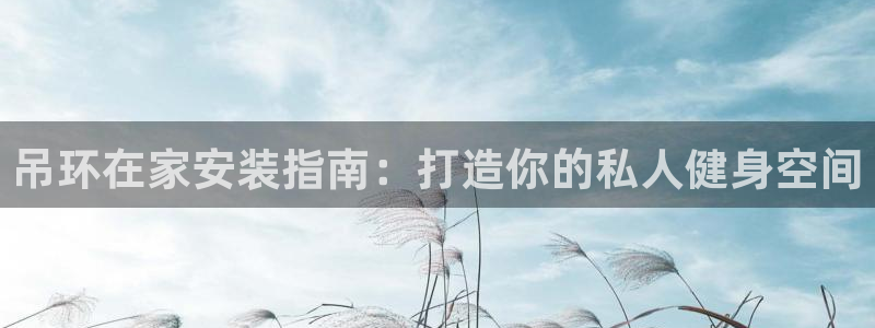 意昂体育3招商电话是多少啊：吊环在家安装指南：打造你
