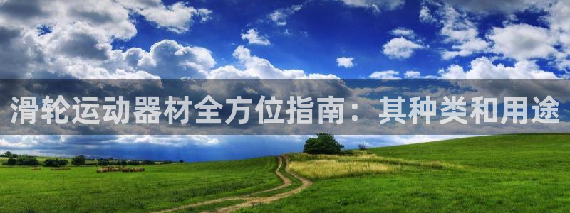 意昂体育3招商电话号码：滑轮运动器材全方位指南：其种