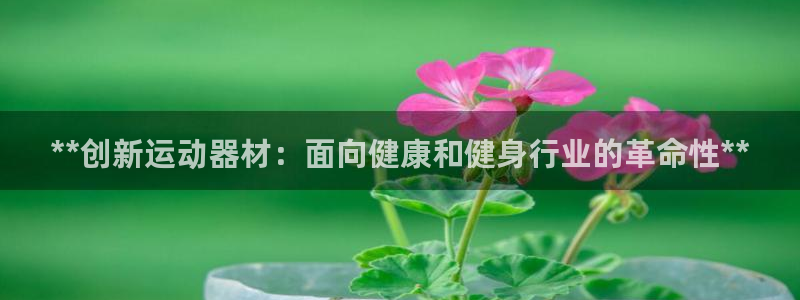 意昂3集团官网首页：**创新运动器材：面向健康和健身