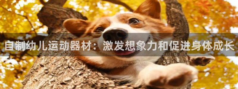 意昂体育3招商电话地址查询：自制幼儿运动器材：激发想