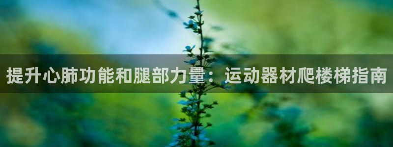 意昂体育3官方客服电话：提升心肺功能和腿部力量：运动