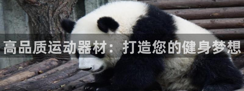 意昂体育3招商电话号码是多少号：高品质运动器材：打造