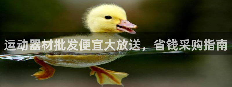 意昂体育3招商电话地址是多少：运动器材批发便宜大放送