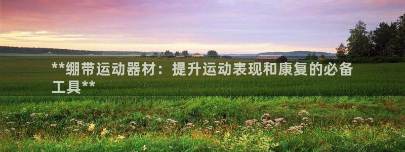 意昂体育3是干嘛的公司：**绷带运动器材：提升运动表
