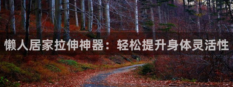 意昂体育3是干嘛的公司：懒人居家拉伸神器：轻松提升身