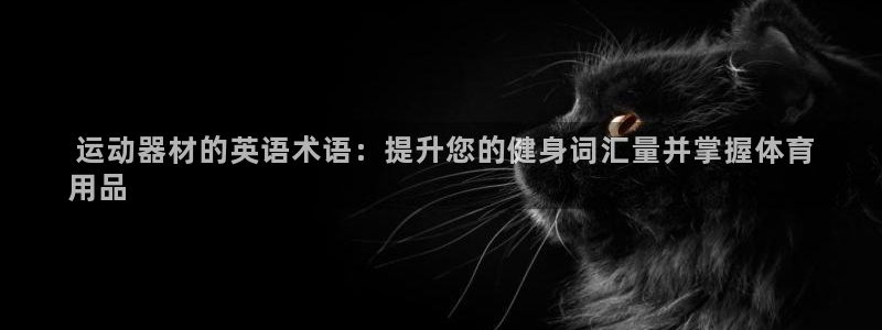 意昂体育3招商电话是多少： 运动器材的英语术语：提升您的健身