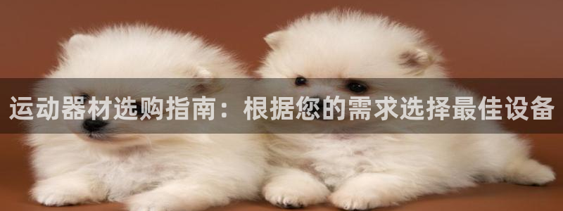 意昂3科技：运动器材选购指南：根据您的需求选择最佳设