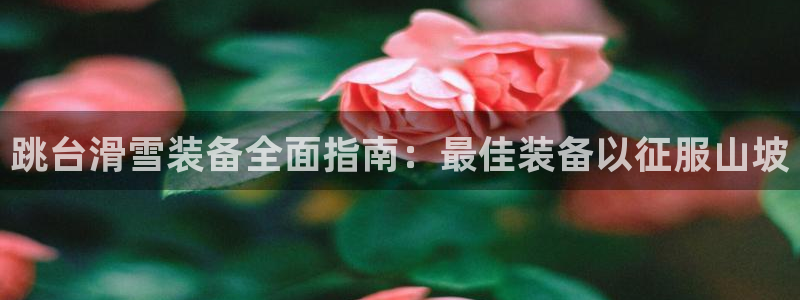 意昂3五金厂：跳台滑雪装备全面指南：最佳装备以征服山