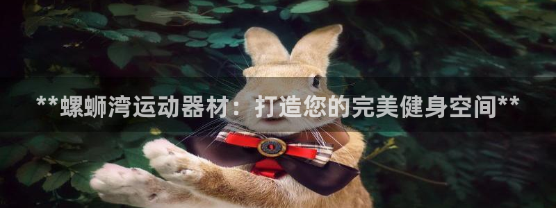 意昂3娱乐40996：**螺蛳湾运动器材：打造您的完