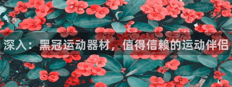 意昂体育3招商电话是多少：深入：黑冠运动器材，值得信