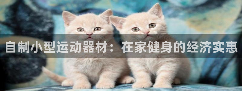 意昂体育3平台注册要钱吗：自制小型运动器材：在家健身