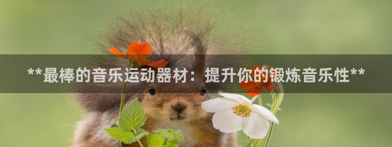 意昂3集团官网首页网址：**最棒的音乐运动器材：提升