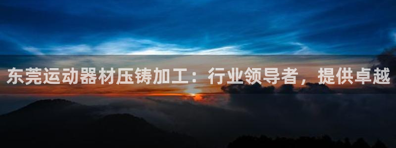 意昂集团官网：东莞运动器材压铸加工：行业领导者，提供卓越
