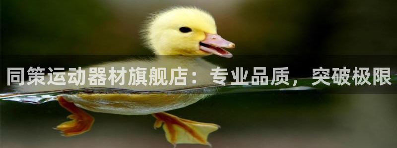 意昂体育3平台注册要钱吗：同策运动器材旗舰店：专业品