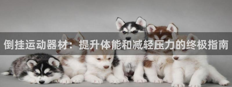 意昂3官方：倒挂运动器材：提升体能和减轻压力的终极指南