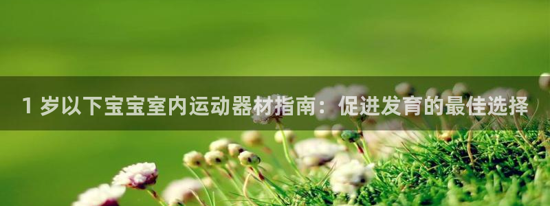 意昂3新能源：1 岁以下宝宝室内运动器材指南：促进发