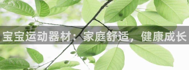 意昂3娱乐代理怎么样：宝宝运动器材：家庭舒适，健康成