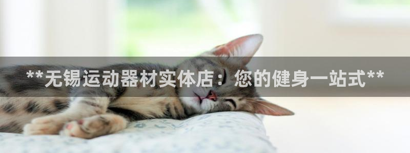 意昂体育3注册：**无锡运动器材实体店：您的健身一站