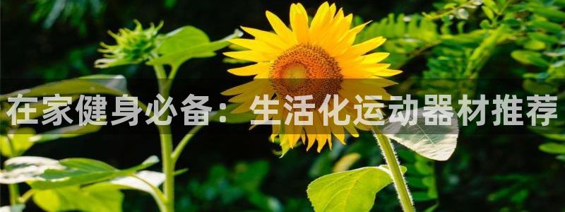 意昂体育3招商电话地址：在家健身必备：生活化运动器材