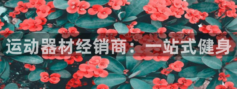 意昂体育3平台注册：运动器材经销商：一站式健身
