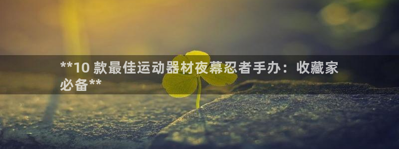 意昂体育3平台注册流程视频：**10 款最佳运动器材
