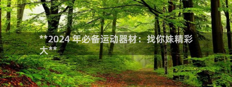 意昂体育3官方客服电话：**2024 年必备运动器材