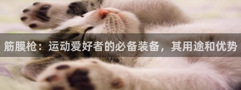 意昂3娱乐首页网站大全：筋膜枪：运动爱好者的必备装备