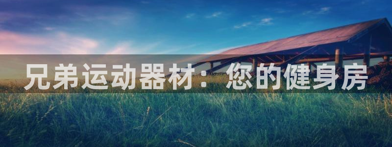 意昂3五金厂：兄弟运动器材：您的健身房