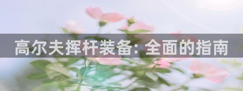 意昂3代理：高尔夫挥杆装备: 全面的指南