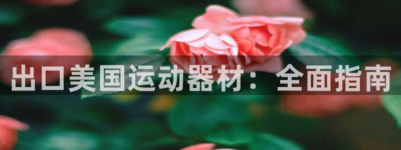 意昂体育3：出口美国运动器材：全面指南
