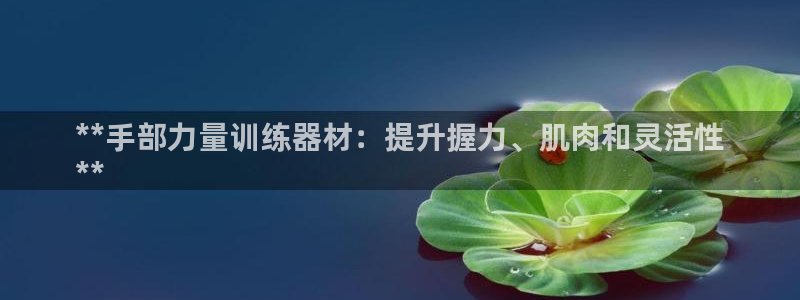 意昂3新能源：**手部力量训练器材：提升握力、肌肉和