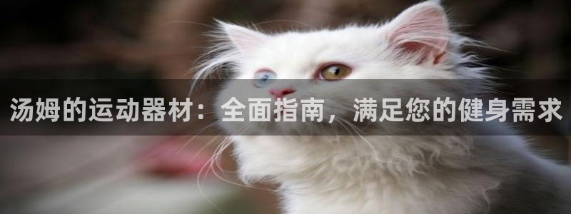 意昂体育3招商电话号码：汤姆的运动器材：全面指南，满