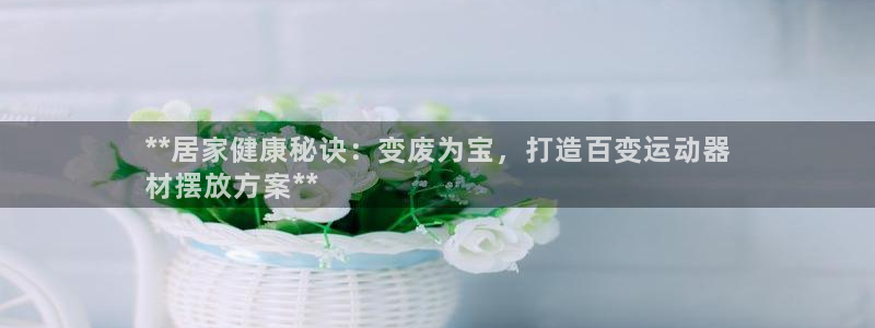 注册意昂3：**居家健康秘诀：变废为宝，打造百变运动