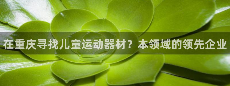 意昂3集团E.ON：在重庆寻找儿童运动器材？本领域的
