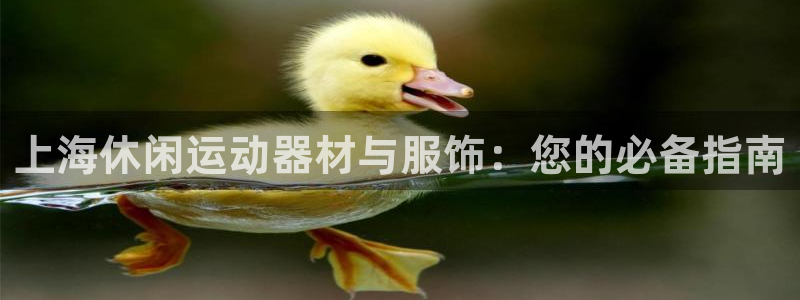 意昂3娱乐首页官网下载：上海休闲运动器材与服饰：您的