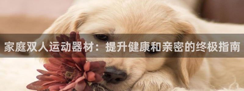 意昂3娱乐首页网站大全：家庭双人运动器材：提升健康和亲密的终