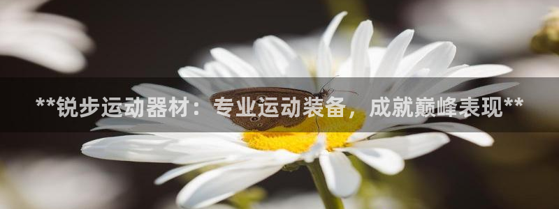 意昂体育3平台注册：**锐步运动器材：专业运动装备，