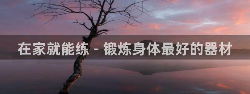意昂体育3注册：在家就能练 - 锻炼身体最好的器材