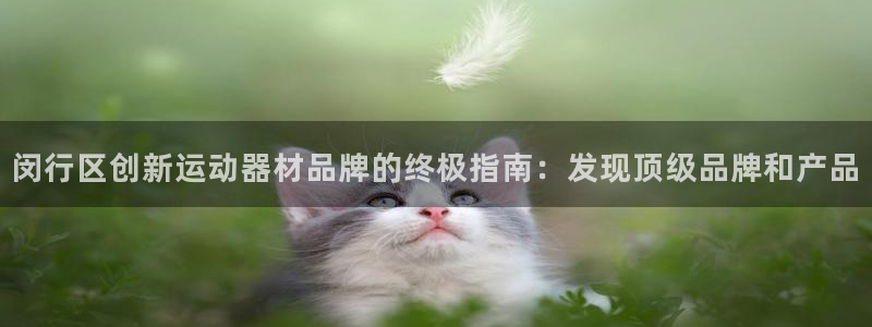 意昂体育3平台注册要钱吗是真的吗：闵行区创新运动器材