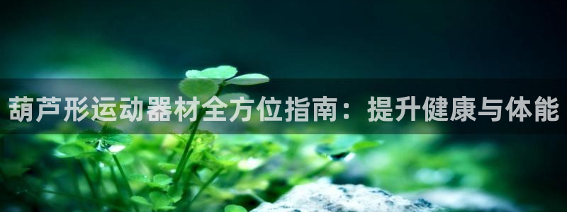 意昂3官网：葫芦形运动器材全方位指南：提升健康与体能