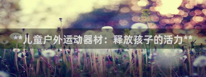 意昂体育3平台注册要钱吗安全吗：**儿童户外运动器材