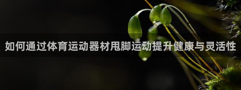 意昂体育3平台是正规平台吗安全吗：如何通过体育运动器